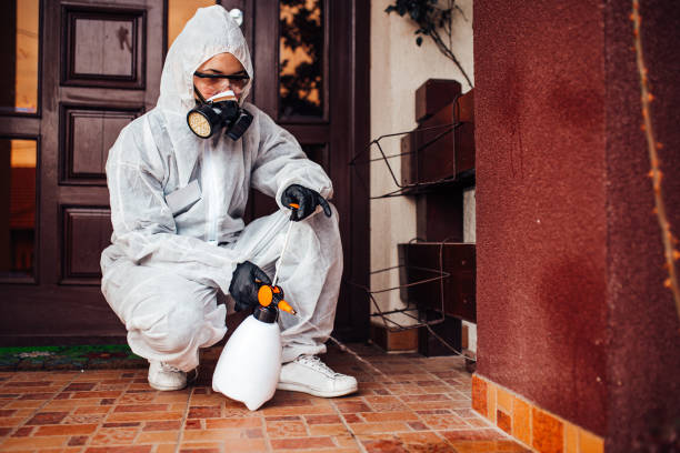 Attic and Crawl Space Rodent Treatment in Grandyle Village