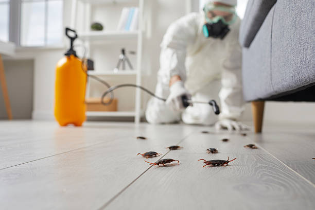Commercial Rodent Management in Grandyle Village
